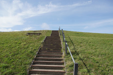 Hondsbossche Zeewering, Hondsbossche duinen