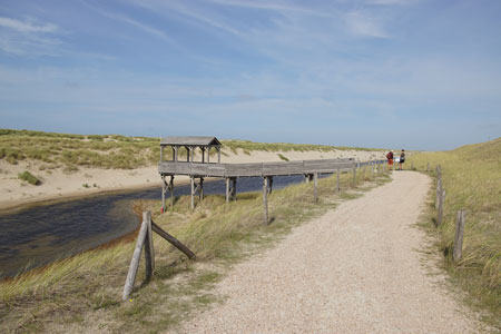 Hondsbossche Zeewering, Hondsbossche duinen