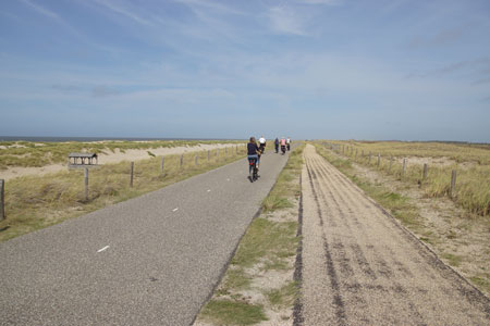 Hondsbossche Zeewering, Hondsbossche duinen