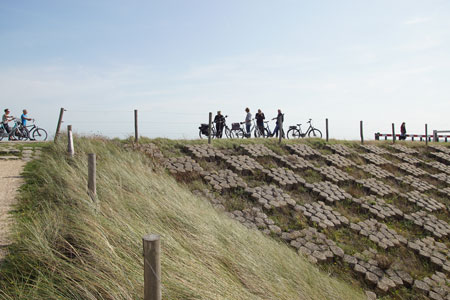 Hondsbossche Zeewering, Hondsbossche duinen