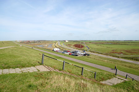 Hondsbossche Zeewering, Hondsbossche duinen