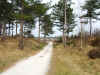  the path towards Schoorl aan Zee.