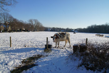 The Three Banks. Winter .