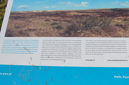 There are a few areas in the dunes with only sand. For this reason, they have cut down trees. (Explanation on the board in Dutch)