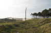 There are a few areas in the dunes with only sand. For this reason, they have cut down trees.