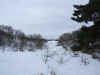 the dunes in winter