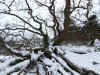  the dunes in winter