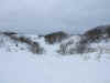 the dunes in winter