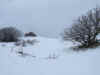 the dunes in winter