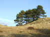 dunes 16-11-08