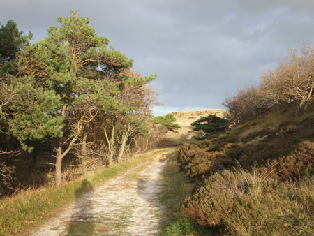 The area between Bergen and Bergen aan Zee. 16-11-2008