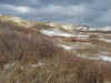 dunes 23-3-08)