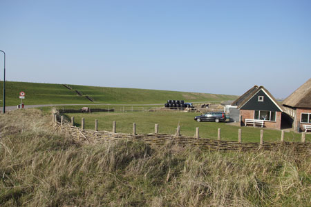 Hondsbossche Zeewering, Hondsbossche duinen