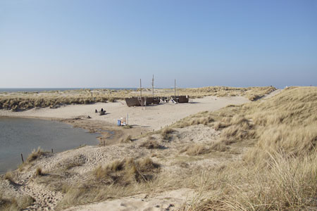 Hondsbossche Zeewering, Hondsbossche duinen