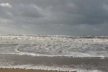 Bergen aan zee. Strong wind, beach. 