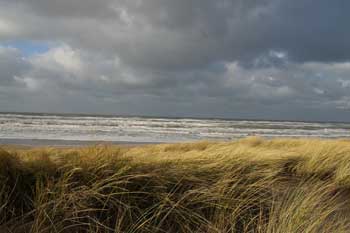 Bergen aan zee. Strong wind, beach. 