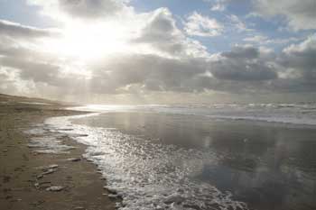 Bergen aan zee. Strong wind, beach. 