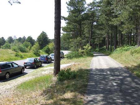 The road from Bergen to Bergen aan zee.