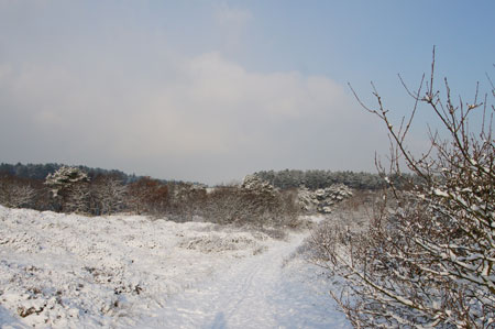 The dunes.  20-12-2010 