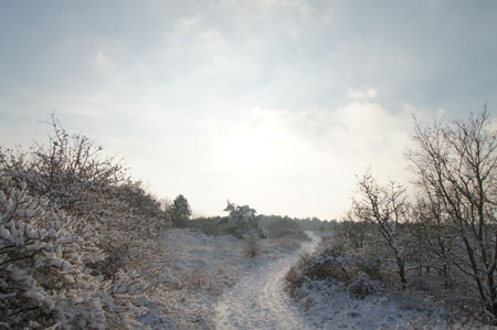 The dunes.  20-12-2010 