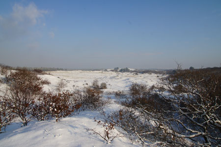 The dunes.  20-12-2010 