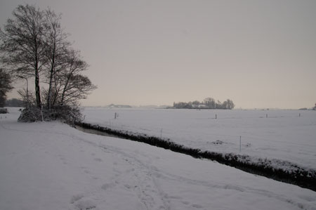 Walk to the dunes. 18-12-2010, meadow