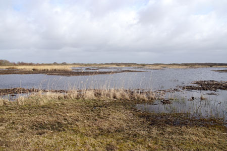 Zwanenwater een duingebied bij Callantsoog