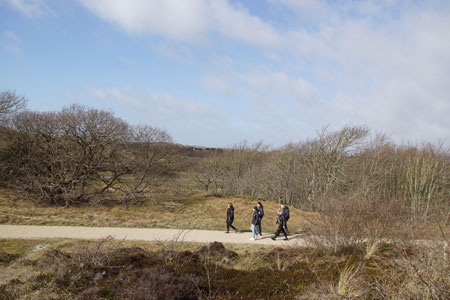 Zwanenwater een duingebied bij Callantsoog