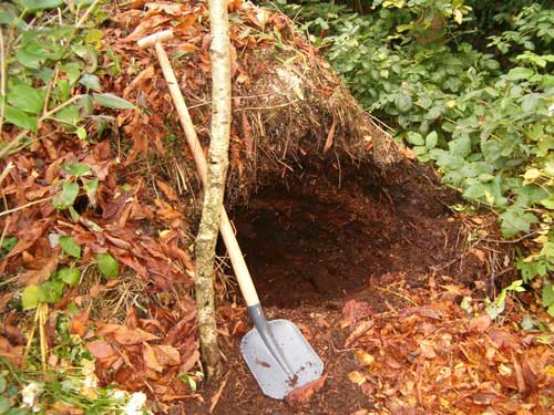 compost heap
