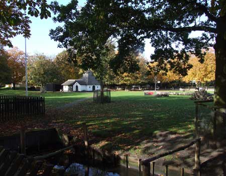 Het hertenkamp bij het van Reenenpark.