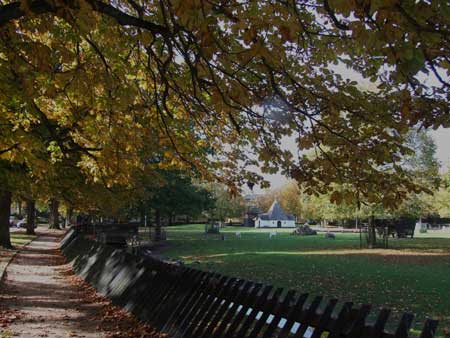 Het hertenkamp bij het van Reenenpark.