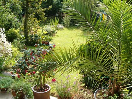terrace