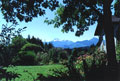 Olympic Views. The Miller Family's Pacific Northwest garden. Dozens of photos arranged by season, mostly with an artistic bent, and gardening information with an emphasis on perennials. (20 miles of Seattle, USA)