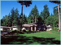 The garden of Mike and Sandy Stoy. They have loved the outdoors all their lives and dreamed of their own little piece of wilderness for years. When they purchased a 4.85 acre wooded lot near Seattle in 1996 they had a chance to create the garden of their dreams.