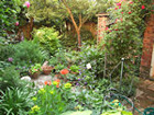 Turning Earth  A small but lovely garden in Yorkshire, England from Lisa. I like the website.