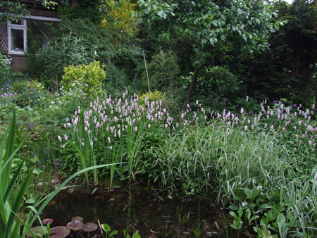 Achter in de tuin.