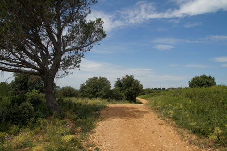 wandelpaden Camping Beauregard in de Provence