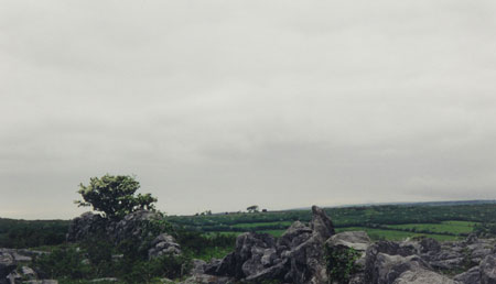 The Burren