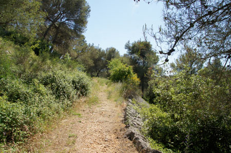 Camping Belvedere in Seget Vranjica. Omgeving.