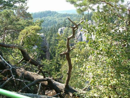 Prachovské Skály (Prachov Peaks).